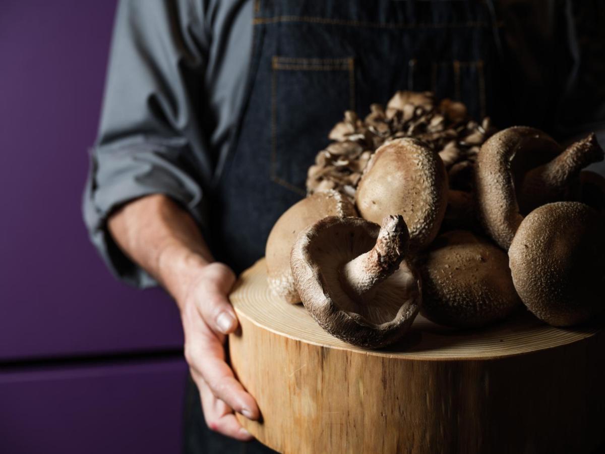 Hyatt Centric Καναζάουα Εξωτερικό φωτογραφία Shiitake mushrooms